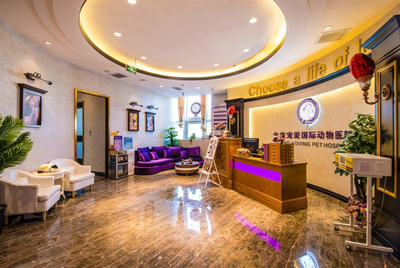 資本看好動物醫(yī)療賽道 寵愛國際完成C輪數(shù)億元融資成為市場標(biāo)桿